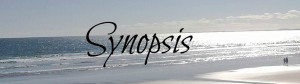 Synopsis banner