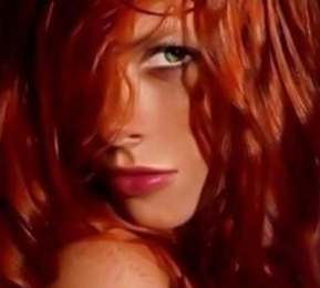  photo f9d4e9084079f6a2c748b5b57cff3b42_zpsdrjdprh8.jpg