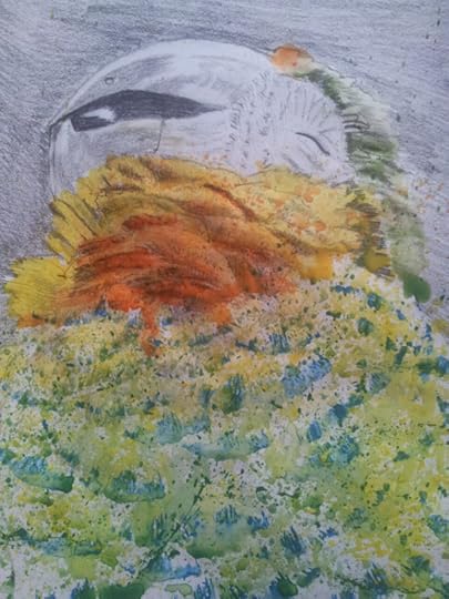 Parrot plus Paint