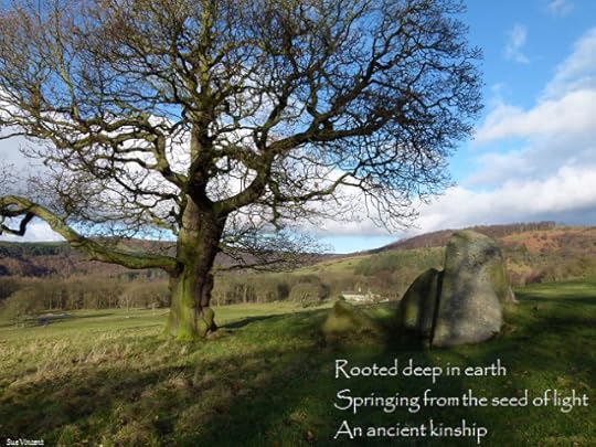 Rooted deep in earth Springing from the seed of light An ancient kinship