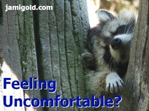 A raccoon looking stuck in a tree with text: Feeling Uncomfortable?