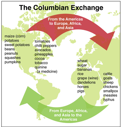 Mass Deaths in Americas Start New CO2 Epoch