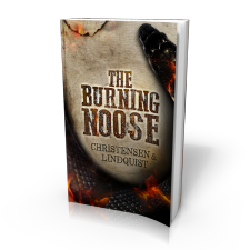 BN cover 3D