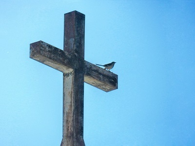 Catholic speaker and author Gary Zimak discusses suffering on the EWTN Son Rise Morning Show