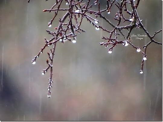 Rain4