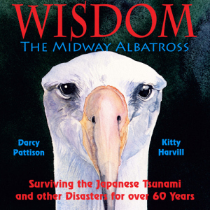 WisdomCover500x500