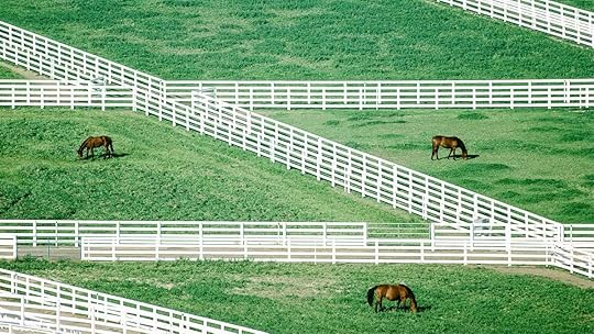 MAR15_11_200408142-001