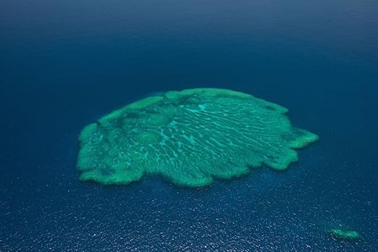 A vivid coral atoll typical of the Pacific.Photo: Jürgen Freund