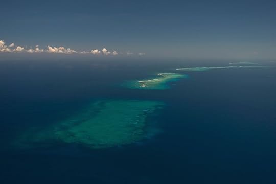 This image clearly shows the extent of the Great Sea Reef as it stretches into the horizon—a full 200-km in length.Photo: Jürgen Freund