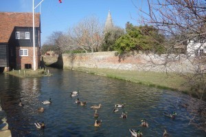 Bosham ducks