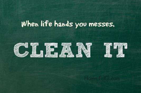 Click for all the cleaning articles on Home Ec 101