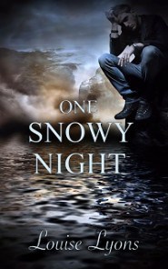 One SNowy Night