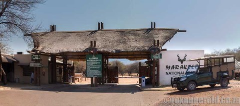 Things to do at Marakele National Park