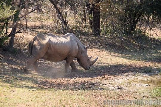 Things to do at Marakele National Park