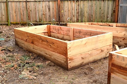 raised-beds-finished