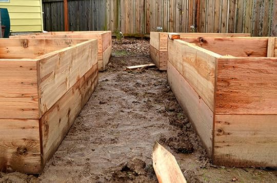 raised-bed-spacing