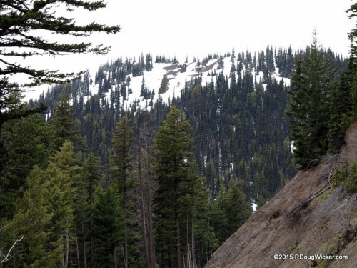 Snow Line