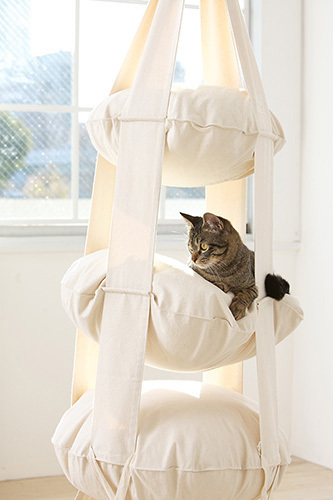 A kitty enjoying the Cat's Trapeze
