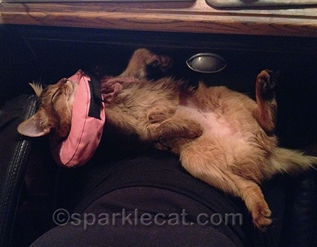 I... well, I just fell asleep!