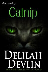 CatNip600