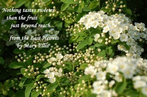 Mary Ellis graphic for March Bride Blog