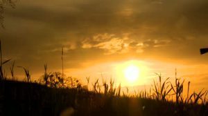 stock-footage-silhouette-of-a-woman-hunter-walking-along-a-hillside-with-a-shotgun-at-sunset