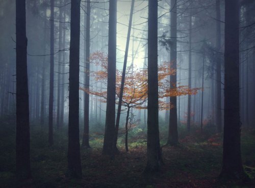 central-european-landscapes-inspired-by-grimms-fairy-tales-by-kilian-schongerger-10