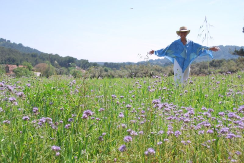 Phacelia or purple tansy flowers and Mom (c) Kristin Espinasse