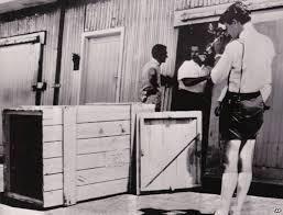 Image result for reg spiers