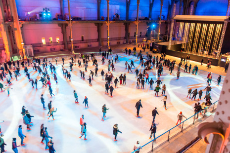grand palais ice1