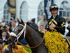 Stevens to Lead 'World' Team in Shergar Cup
