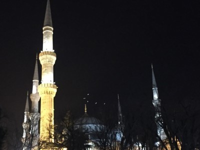 BlueMosqueNite