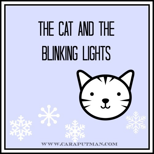 the cat