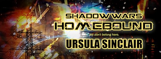 US banner