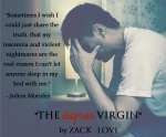 TSV3teaser.jpg.