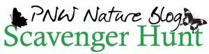PNW-Scavenger-Hunt-Logo