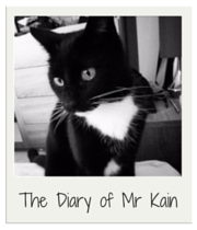 The Diary of Mr Kain