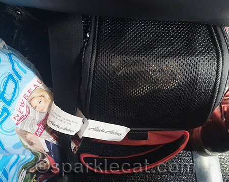 How come my human did not buy me a proper seat? How cheap!