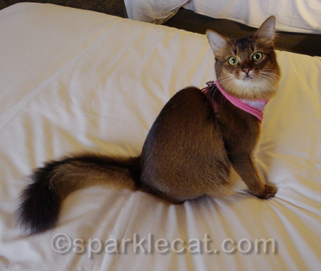I always test the bed!