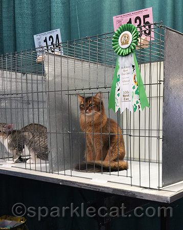 I like to pose in the judging cage