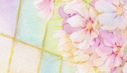 Pursuing Prissie peek