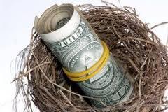 money in a nest