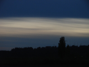 DSC09897