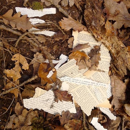 Woodwords 1