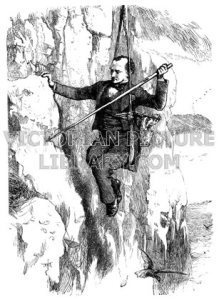 HS45-waterton-birds nesting-cliffs-naturalist