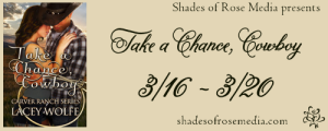 SOR Take a Chance Cowboy VBT 2 Banner