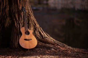 Wooden Acoustic Guitar