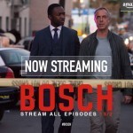 Bosch Now Streaming