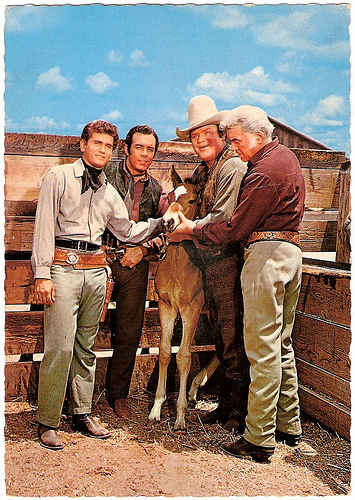 Bonanza