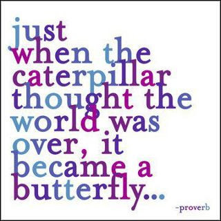 Image and video hosting by TinyPic